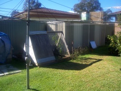 The back yard